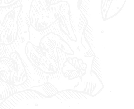 Author left drawn food background image